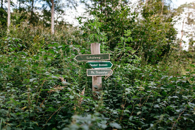 Information sign in park