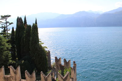 High angle view of plants by sea against sky