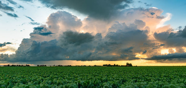 Storm cloud over the wide open dutch landscape at sunset