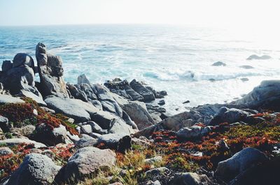 Scenic view of sea against clear sky