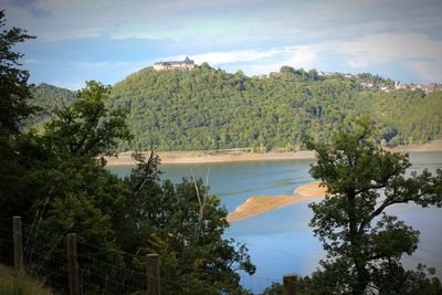 Scenic view of forest against sky