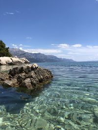 Scenic view of sea against blue sky