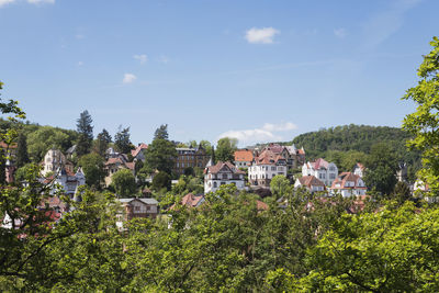 Houses and trees in town against sky