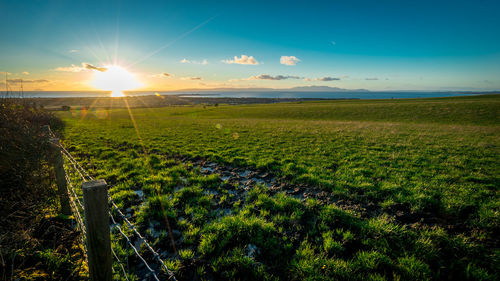 Scenic view of field against sky during sunset