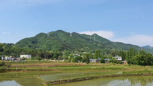 Scenic view of agricultural landscape against sky