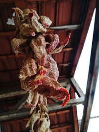 Low angle view of stuffed toy hanging on ceiling