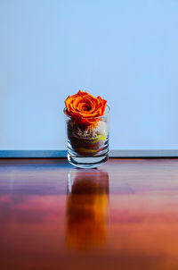 Close-up of red rose on glass table