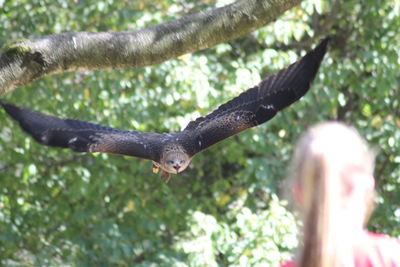 Close-up of lizard on tree