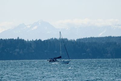 Sailboat sailing on sea against sky