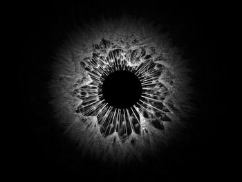 Close-up of human eye