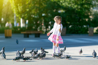 Girl feeding pigeons on street in city