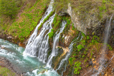 Scenic view of waterfall in forest