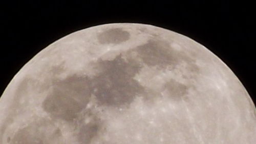 Low angle view of moon