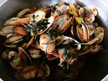 High angle view of oysters in plate