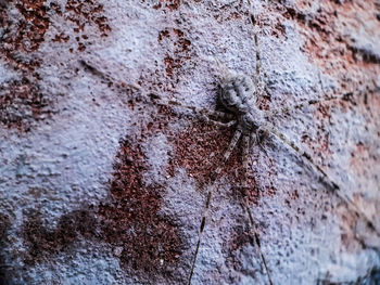 Full frame shot of weathered wall