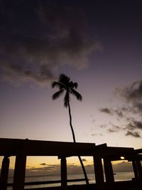 Low angle view of silhouette palm trees against sky during sunset