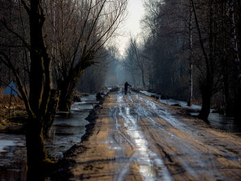 Empty narrow road along bare trees