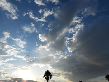 Low angle view of silhouette trees against sky