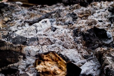 The remains of campfire in the forest with stones and ashes. close-up burning woods.