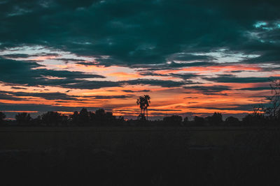 Silhouette trees on field against sky during sunset