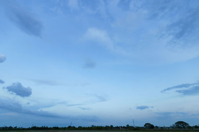 Low angle view of trees against sky