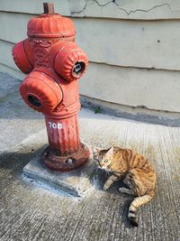 Close-up of fire hydrant on footpath