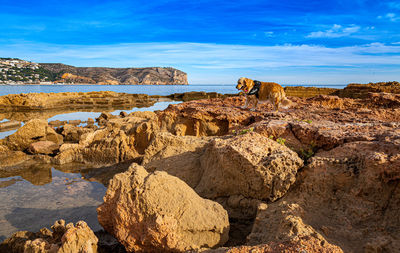 Rocks on beach against sky