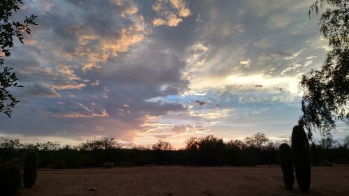 Scenic view of landscape against cloudy sky