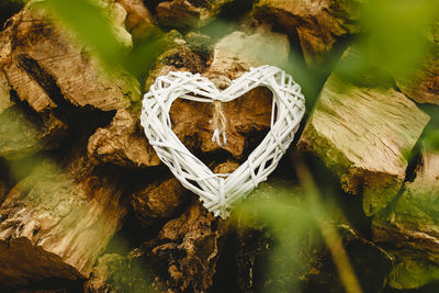 Close-up of rings in heart shape over log