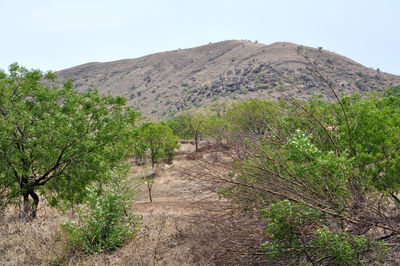 Scenic view of mountains against clear sky