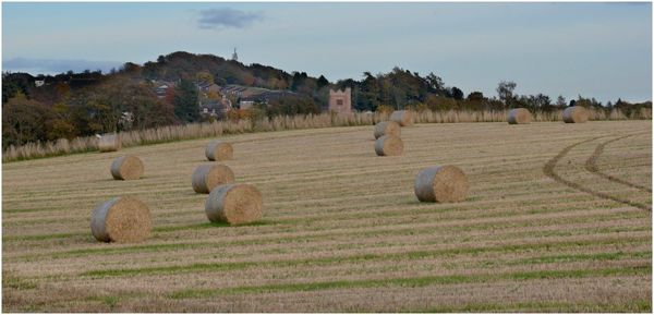 Hay bales on field against sky