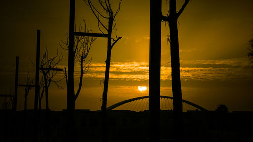 Silhouette plants against sky during sunset
