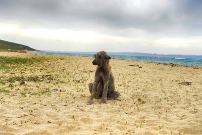 Scenic view of sea against cloudy sky