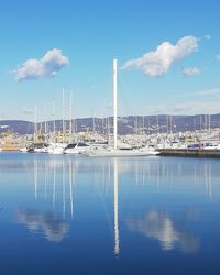 Sailboats moored in marina against blue sky