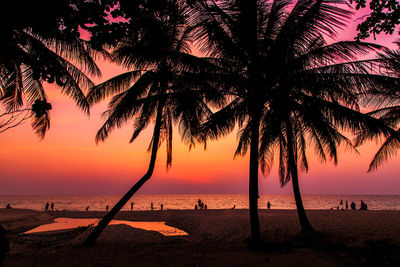 Silhouette palm trees on beach against sky during sunset