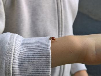 Midsection of girl with ladybug on her hand
