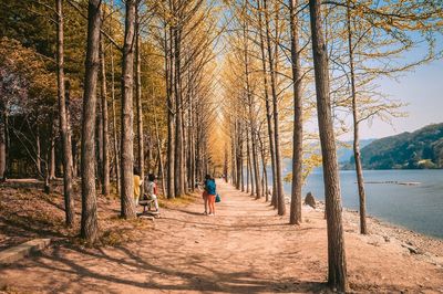People relaxing by trees by lake