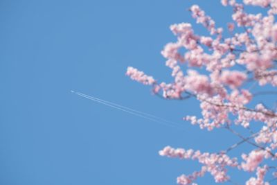 Low angle view of vapor trail against clear blue sky