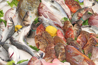 Full frame shot of fish for sale at market stall