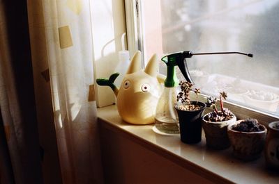 Close-up of potted plants on window sill