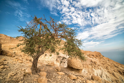 Low angle view of rock formation on mountain against sky