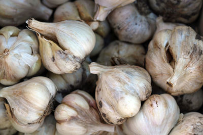 Full frame shot of rotten garlic bulb