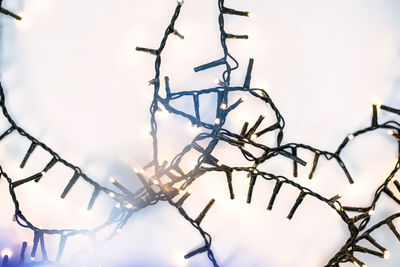 Low angle view of barbed wire against sky