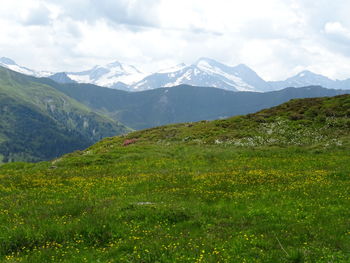 Scenic view of mountains