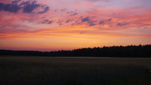 Scenic view of field against sky during sunset