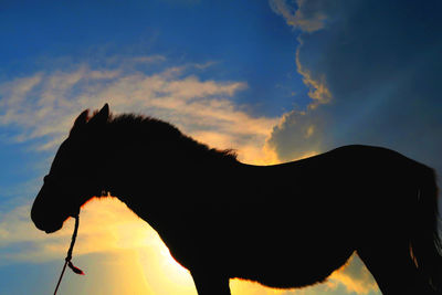 Silhouette horse against sky during sunset