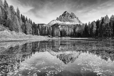 Scenic view of lake by trees against sky