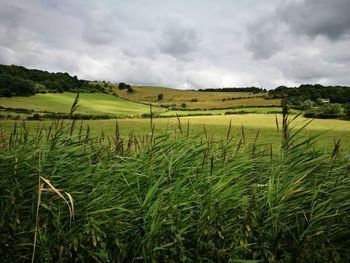 Scenic view of landscape against cloudy sky