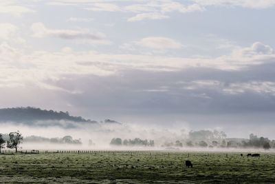 Early autumn morning's on the land