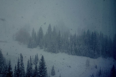 Close up of white background